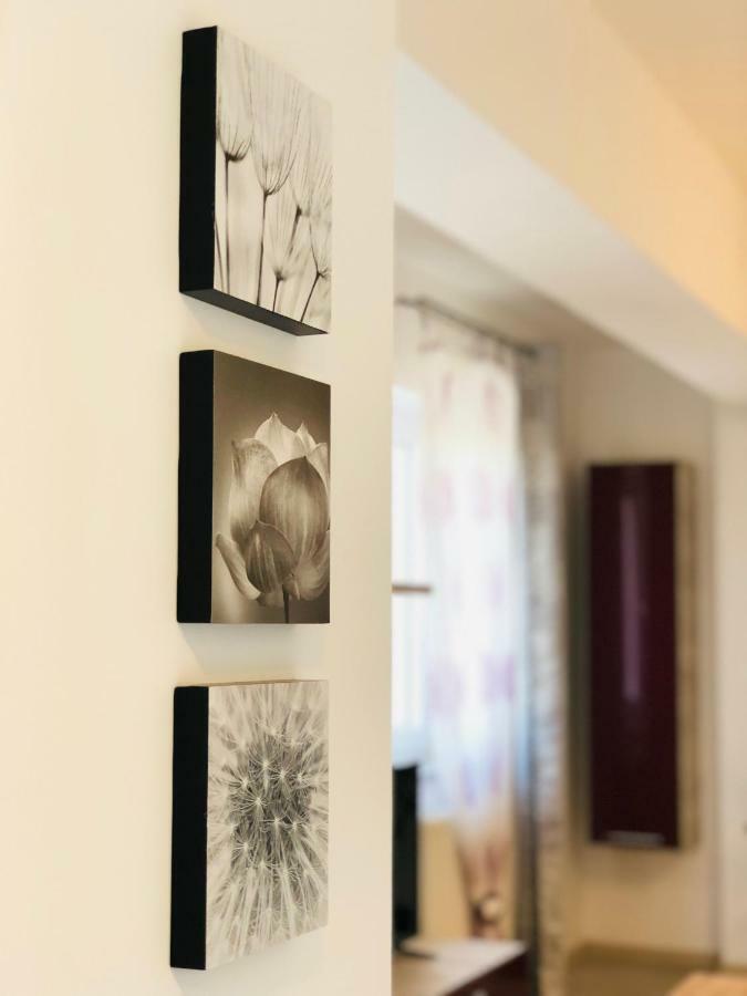 Eme Apartments Брашов Экстерьер фото